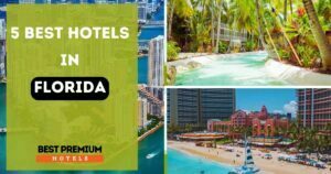 Read more about the article 5 Best Hotels In Florida