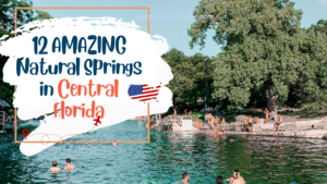 Read more about the article 12 AMAZING Natural Springs in Central Florida