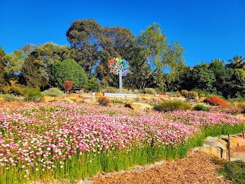 Australian Botanic Garden, Mount Annan Things to do in Sydney