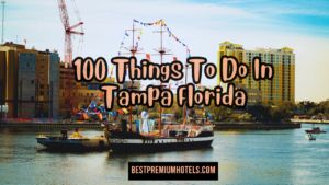 Read more about the article 100 Things To Do In Tampa Florida