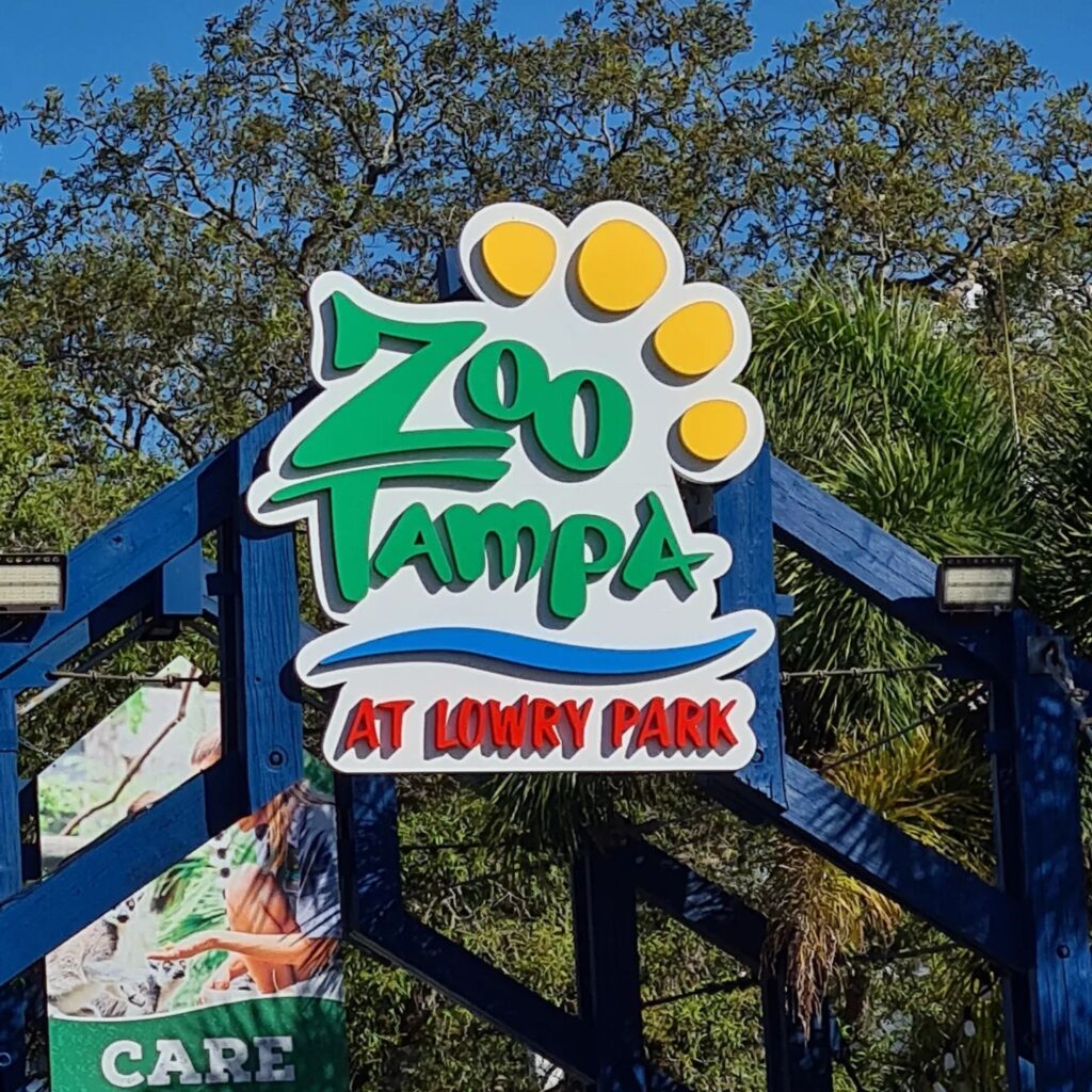 Couple Things To Do In Tampa